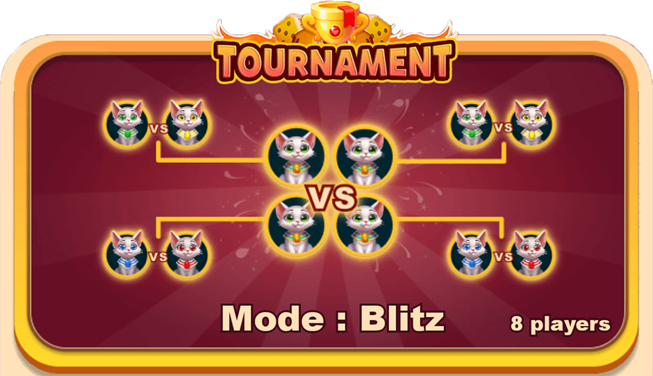 Ludo Tournament Rules